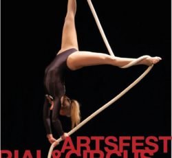 Artsfest-logo