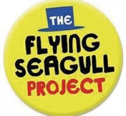flying-seagull-logo